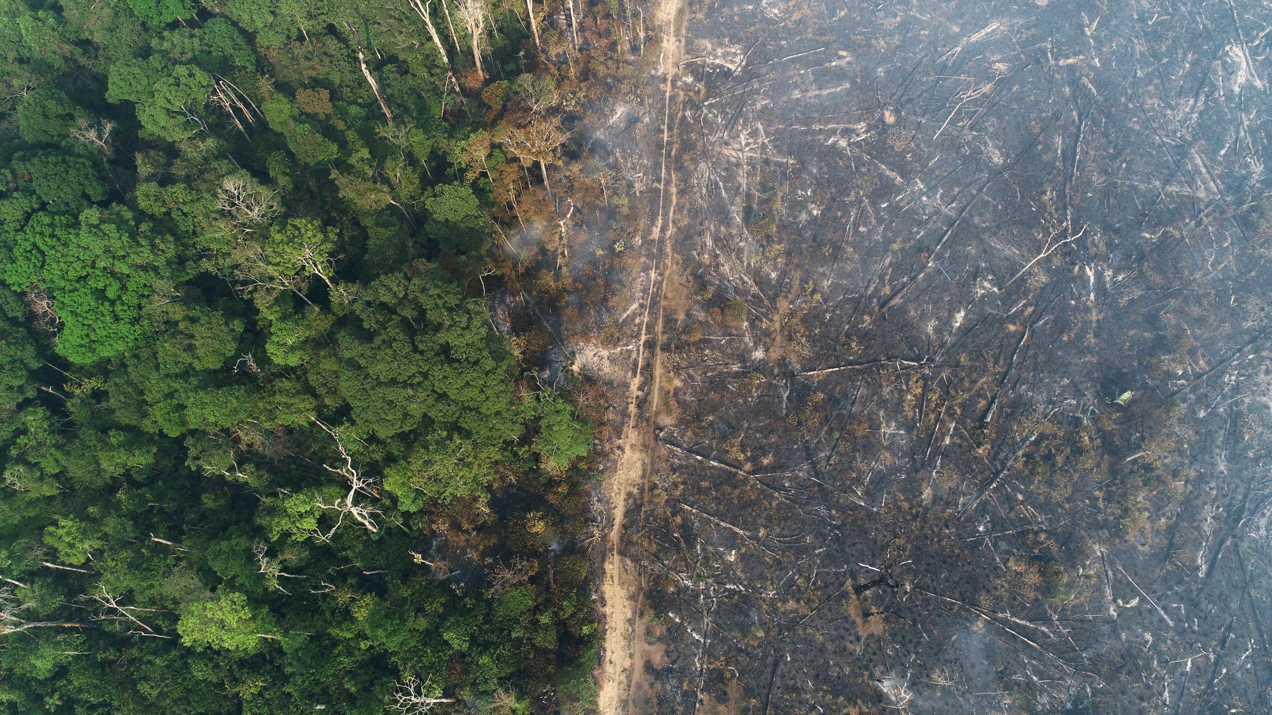 'Exaustão de recursos' levou ao recolhimento das brigadas contra incêndios florestais, diz Ibama