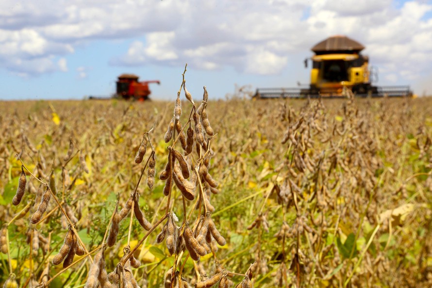 Diversificação de compra de soja pela China não deve afetar Brasil, diz Economia