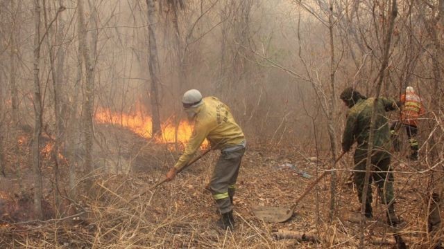 Onça-pintada morta, raios e fogo 'subterrâneo': os incêndios que ainda ameaçam o Pantanal