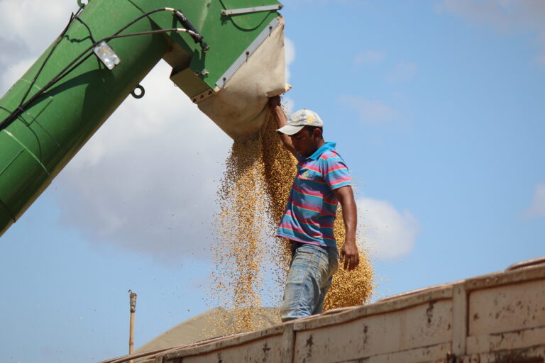 Melhora a logística portuária para as exportações brasileiras de soja