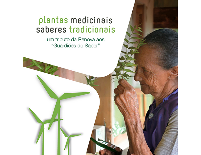 Renova Energia comemora 10 anos de publicação de livro que reúne histórias e preserva conhecimento sobre plantas medicinais do semiárido